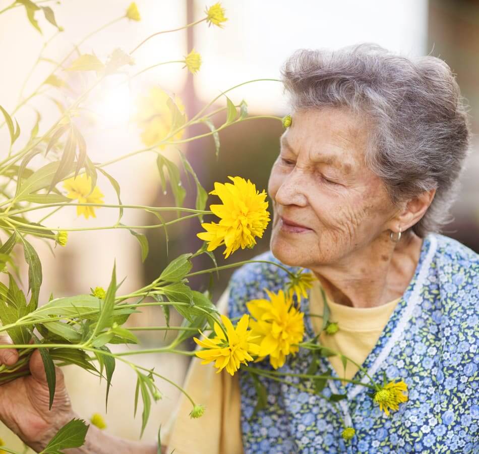 The SOAR™ Memory Care Program at The Village at The Triangle