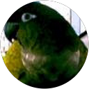 Handsumguy Bo profile picture